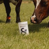 Body&Fit Whey Perfection