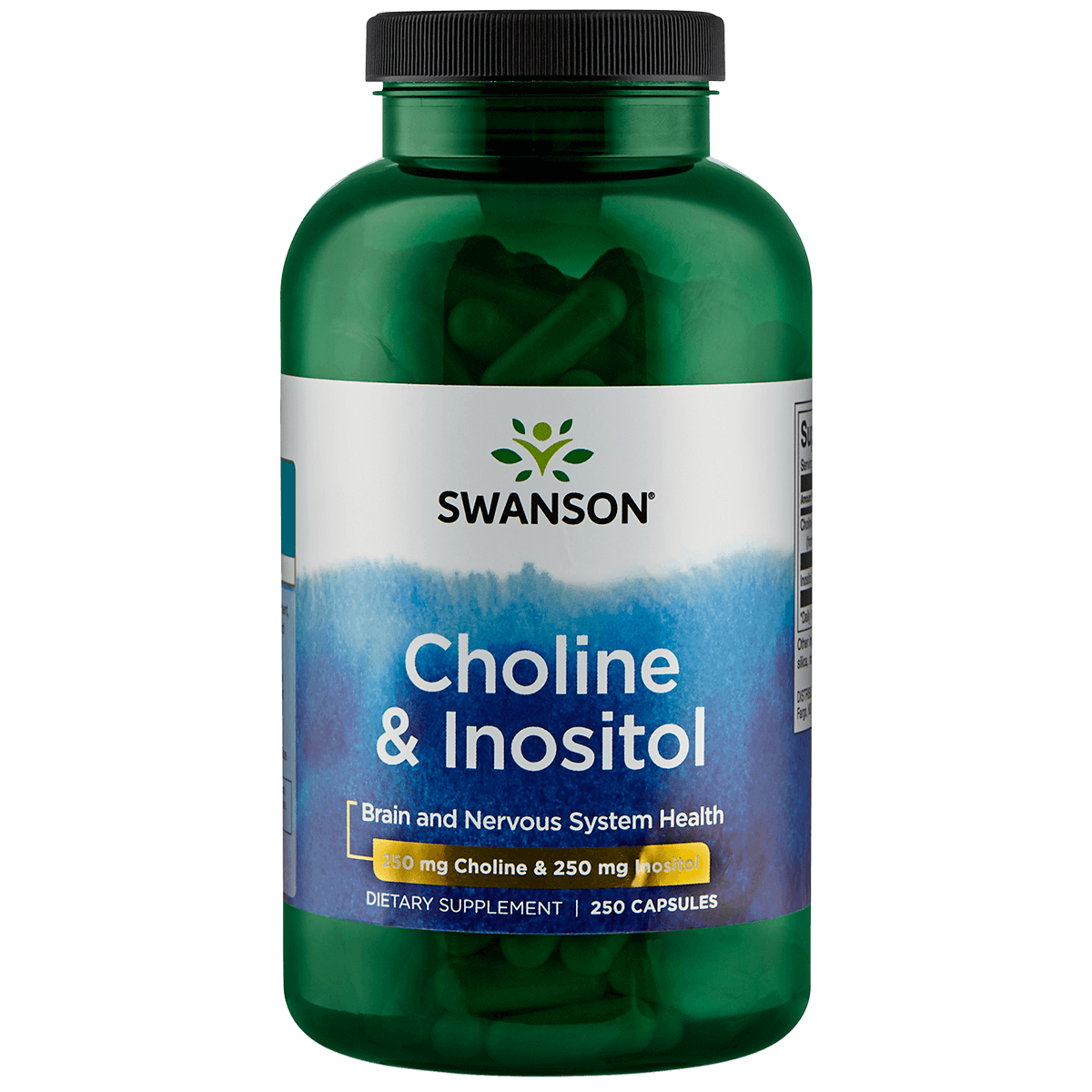 Choline en Inositol 250/250 mg